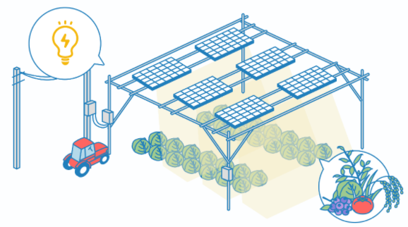 solar-sharing